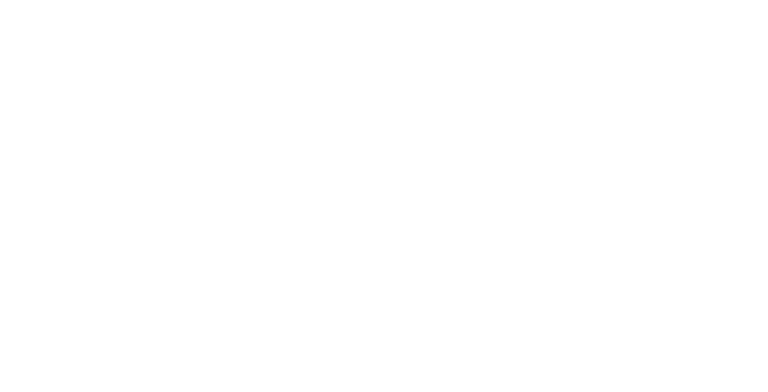 MareHomes logo white